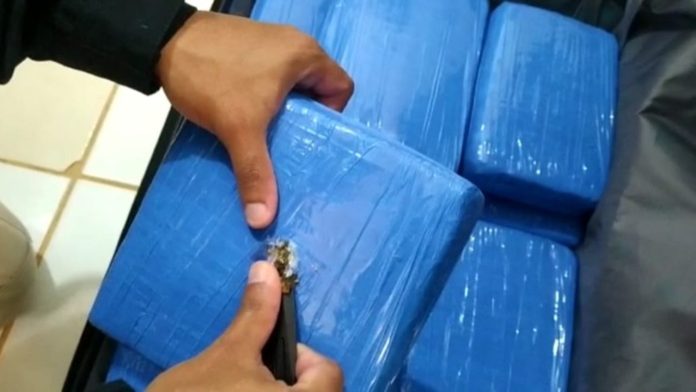 Mulher é presa pela PRF com 10 kg de maconha em Altamira
