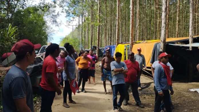 Sem-terra ocupam parte de fazenda pertencente à Embrapa