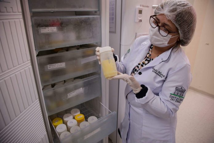 Semana de Doação de Leite Materno: evento na Santa Casa destaca importância do aleitamento