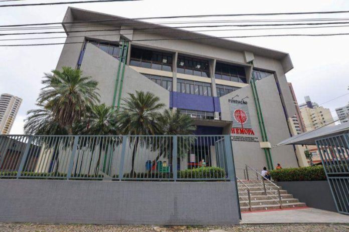 Campanha solidária do Hemopa homenageia mães doadoras de sangue com programação