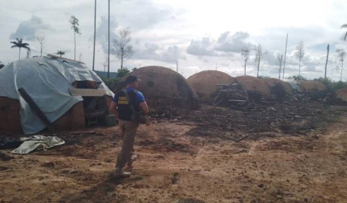 Semas interrompe ação de desmatamento ilegal em Dom Eliseu