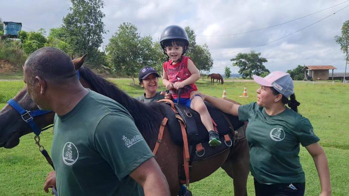 Terapia com cavalos vem ajudando pacientes a ganhar autonomia e mobilidade