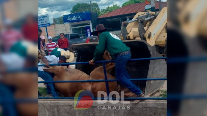 Cavalo passa mal e morre durante cavalgada ruralista no Pará