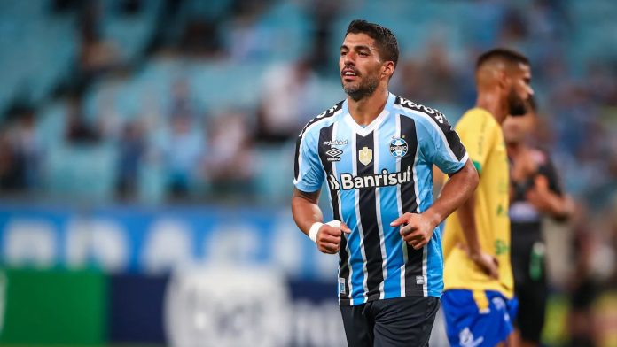 Grêmio e São Paulo duelam neste domingo; Suárez está fora