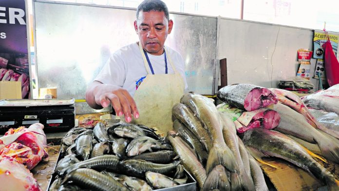 Veja as espécies de peixes que estão mais baratas em Belém