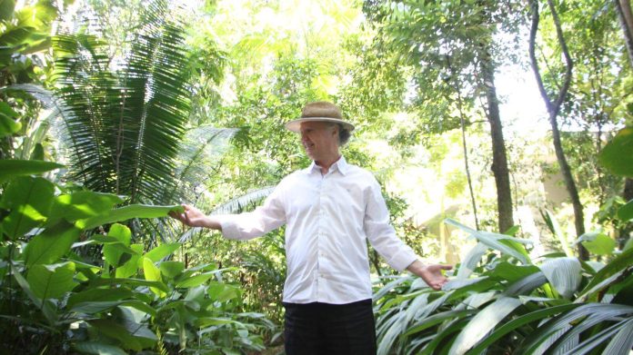 Ciência: após queda de artigos científicos no Brasil, pesquisas devem se intensificar na Amazônia