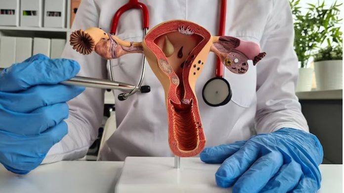 Julho Verde-Escuro conscientiza o câncer ginecológico