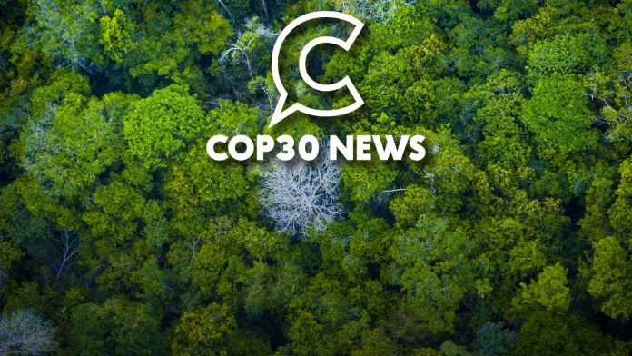 COP30 News: portal sobre meio ambiente será lançado