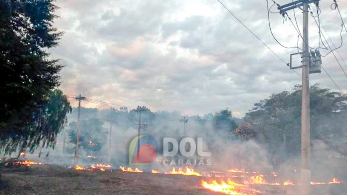 Queimadas resultaram em 71 casos de falta de energia em 2023