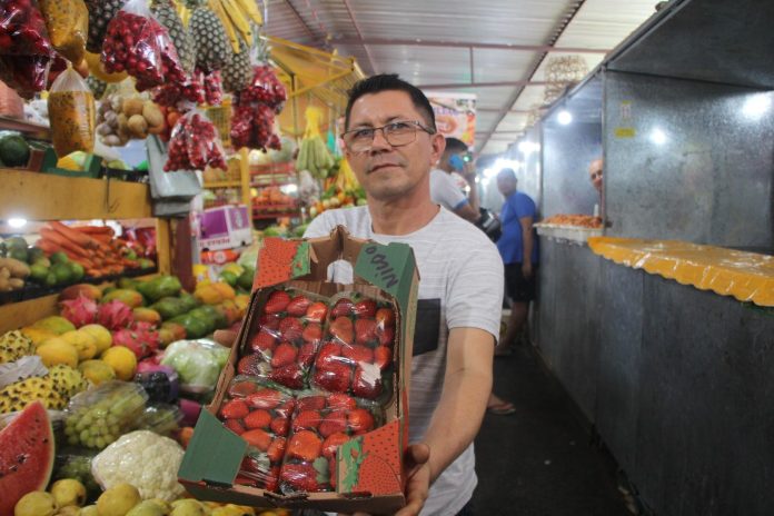Aproximação da safra de morangos gera expectativas de vendas alavancadas em Belém