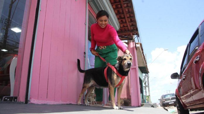 Confira os nomes de pets (cães e gatos) mais adotados no Pará e no Brasil