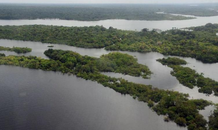 Pará responde por quase metade dos projetos geridos pelo Fundo Amazônia, diz diretora