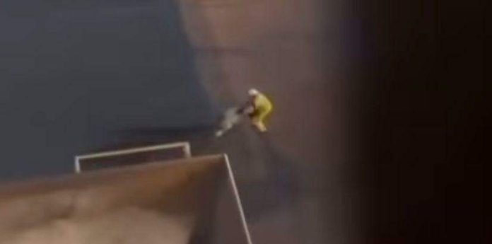 Boi foge e atinge funcionário no Porto de Vila do Conde, em Barcarena